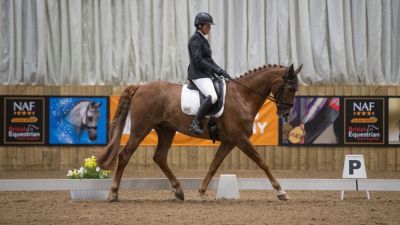 British Dressage High Profile Show 2025, Arena UK